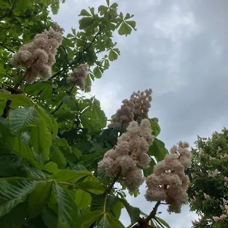 Golfplatz Motzen-apartment Mit Aussicht Und Vielem Komfort * Mittenwalde