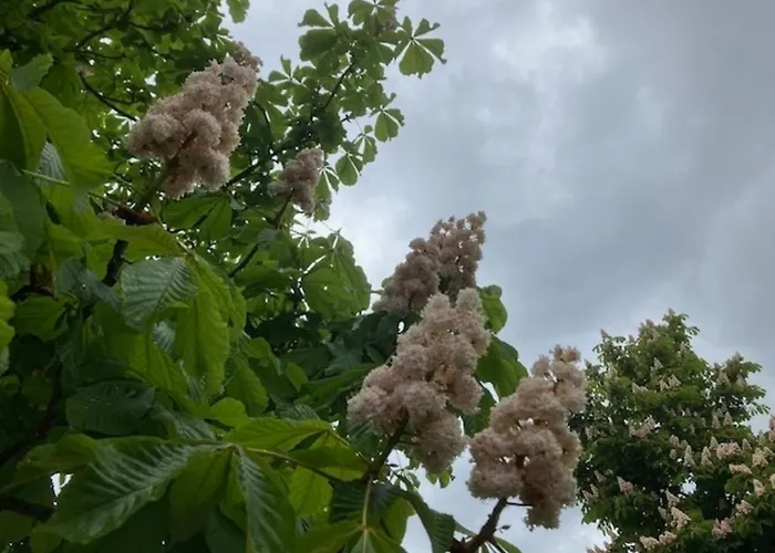 Golfplatz Motzen-apartment Mit Aussicht Und Vielem Komfort * Mittenwalde