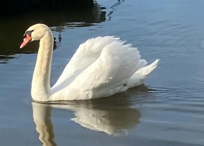 Golfplatz Motzen-apartment Mit Aussicht Und Vielem Komfort Apartamento Mittenwalde